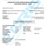 Irish Criminal Record Check From Garda Criminal Records Office ECRIS Irish Criminal Record Check From Garda Criminal Records Office ECRIS