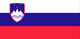 Flag of the country where ECRIS provides the Slovenian criminal record check.